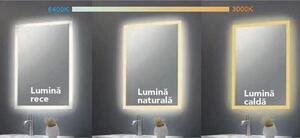Oglinda dreptunghiulara 90 cm cu iluminare LED si dezaburire Fluminia, Rodin 900x750x35 mm