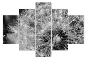 Tablou - mulțime de păpădii (150x105 cm)