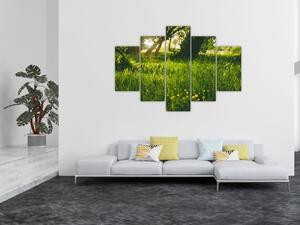 Tablou cu natura - lunca (150x105 cm)