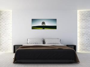Tablou cu natura - copac (120x50 cm)
