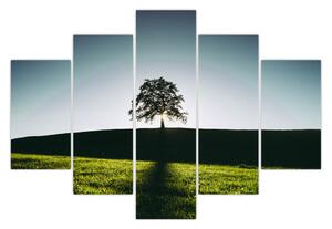 Tablou cu natura - copac (150x105 cm)