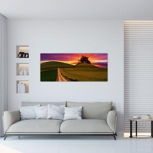 Tablou cu câmp și cerul colorat (120x50 cm)