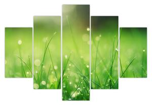 Tablou - roua pe iarbă (150x105 cm)