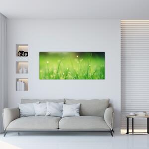 Tablou - roua pe iarbă (120x50 cm)