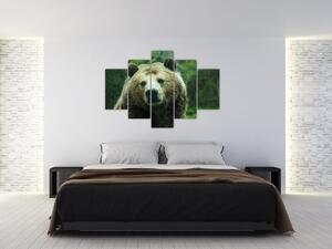 Tablou cu ursul (150x105 cm)