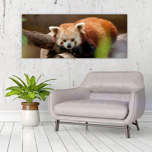 Tablou cu panda roșie (120x50 cm)