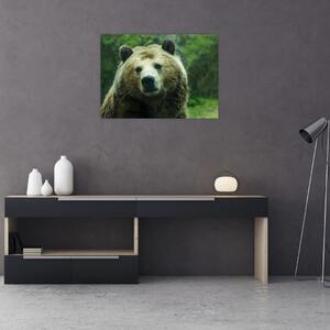 Tablou cu ursul (70x50 cm)