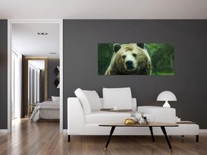 Tablou cu ursul (120x50 cm)