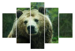 Tablou cu ursul (150x105 cm)