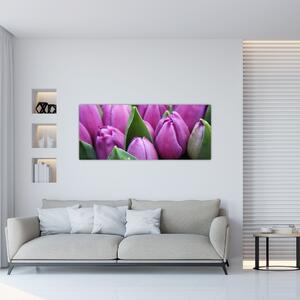 Tablou - florile lalelelor (120x50 cm)