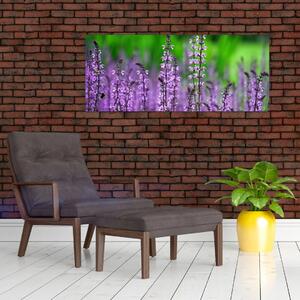 Tablou cu flori de luncă violete (120x50 cm)