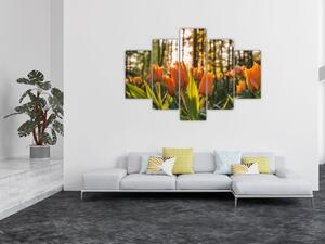 Tablou - florile lalelelor (150x105 cm)