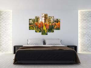 Tablou - florile lalelelor (150x105 cm)