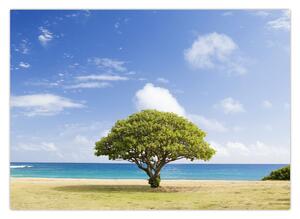 Tablou plaja cu copac (70x50 cm)