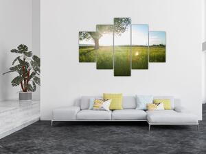Tablou cu lunca în vară (150x105 cm)