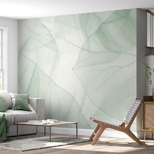 Tapet Nervurile abstracte ale frunzelor, Imagini de fundal unice, w05474 : Uwalls.ro