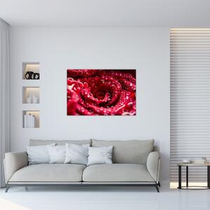 Tablou cu floarea trandafirului roșu (90x60 cm)