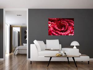 Tablou cu floarea trandafirului roșu (90x60 cm)