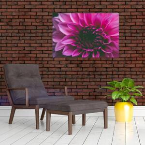 Tablou cu floarea roz (90x60 cm)