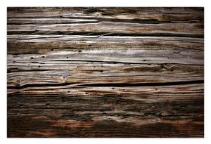Tablou - lemnele de sezon (90x60 cm)