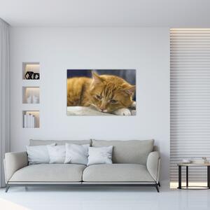 Tabloul pisicii (90x60 cm)