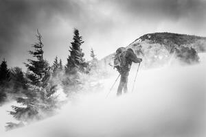 Fotografie Searching for a path, Lubos Balazovic