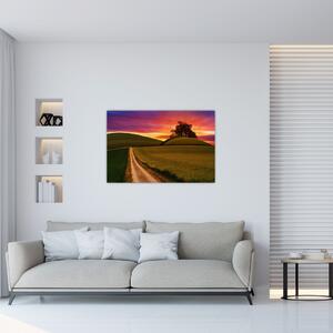 Tablou cu câmp și cerul colorat (90x60 cm)
