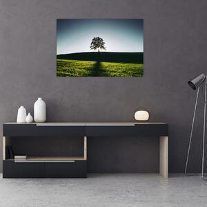 Tablou cu natura - copac (90x60 cm)