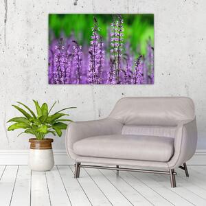 Tablou cu flori de luncă violete (90x60 cm)