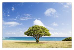 Tablou plaja cu copac (90x60 cm)