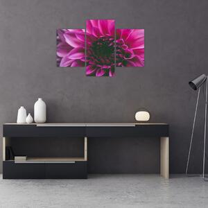 Tablou cu floarea roz (90x60 cm)