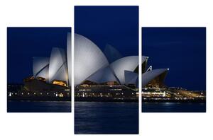 Tabloul Sydney nocturn (90x60 cm)