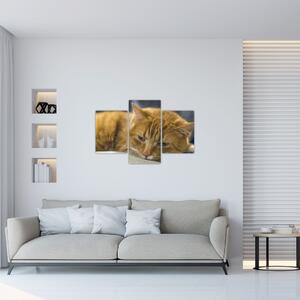 Tabloul pisicii (90x60 cm)