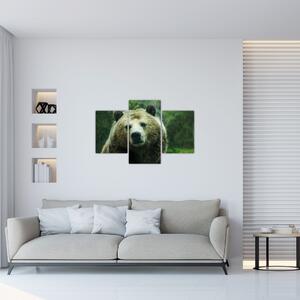 Tablou cu ursul (90x60 cm)