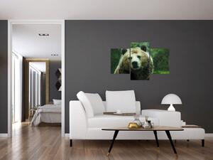 Tablou cu ursul (90x60 cm)