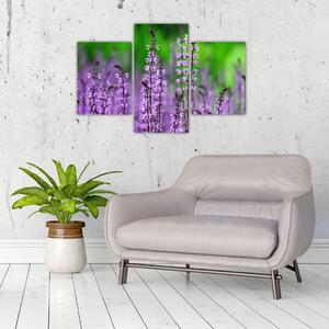Tablou cu flori de luncă violete (90x60 cm)