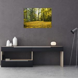 Tablou - pădurea toamna (70x50 cm)