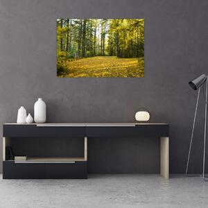 Tablou - pădurea toamna (90x60 cm)