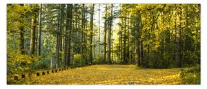 Tablou - pădurea toamna (120x50 cm)