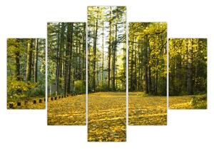 Tablou - pădurea toamna (150x105 cm)
