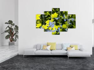 Tablou - frunze de arțar (150x105 cm)