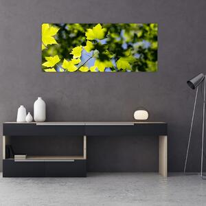 Tablou - frunze de arțar (120x50 cm)