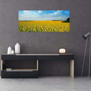 Tablou - câmp cu floarea soarelui (120x50 cm)