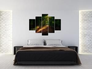 Tablou cu poteca prin pădure (150x105 cm)