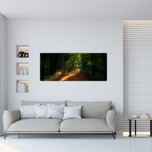 Tablou cu poteca prin pădure (120x50 cm)