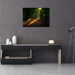 Tablou cu poteca prin pădure (70x50 cm)