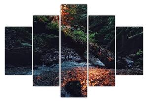 Tablou cu râu montan (150x105 cm)