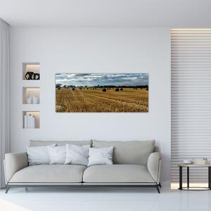 Tablou cu câmp recoltat (120x50 cm)