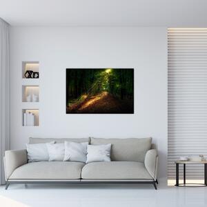 Tablou cu poteca prin pădure (90x60 cm)
