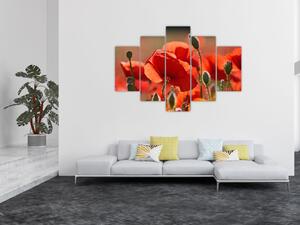 Tablou cu flori de maci (150x105 cm)
